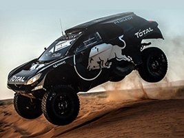  - Peugeot 2008 DKR16